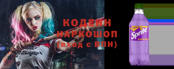 ГАЛЛЮЦИНОГЕННЫЕ ГРИБЫ Новозыбков