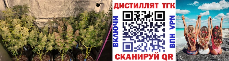 Дистиллят ТГК гашишное масло  Касимов 