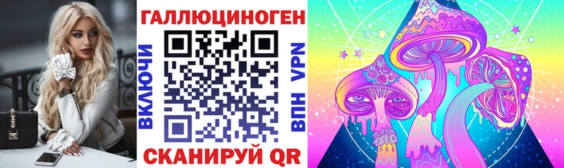 Псилоцибиновые грибы мухоморы  маркетплейс как зайти  Касимов  наркота 