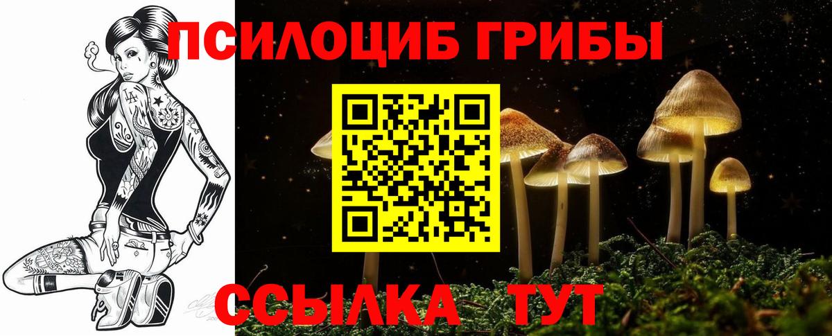Псилоцибиновые грибы ЛСД  Псилоцибиновые грибы мицелий  Вход с VPN  что такое   Касимов 