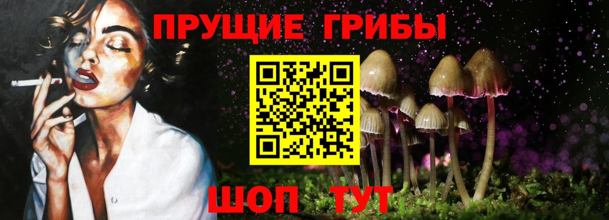Псилоцибиновые грибы MAGIC MUSHROOMS Касимов